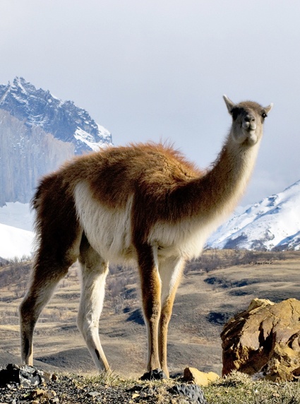 Patagonia Chile